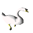 swan gambar-animasi-gif